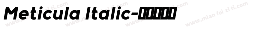 Meticula Italic字体转换